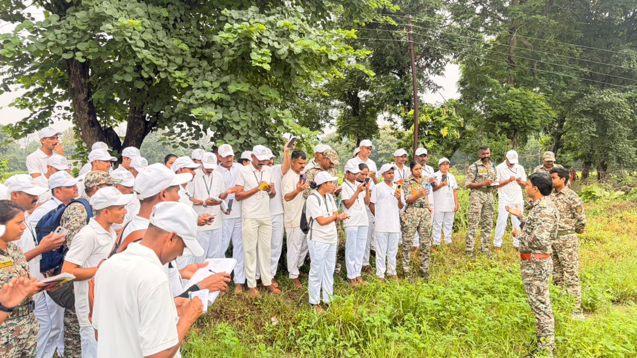 चुलबंद नर्सरी नवेगावबांध