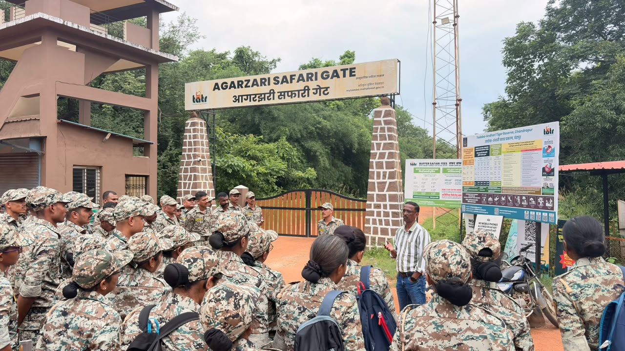 विदर्भ दौरा - दिवस  पाचवा  - ताडोबा अंधारी व्याघ्र प्रकल्प, चंद्रपूर