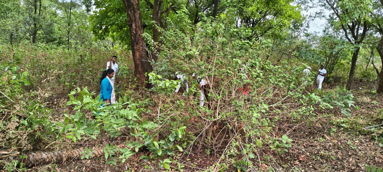 क्षेत्रीय कामे - अमृतवन येथील परिसराची साफसफाई
