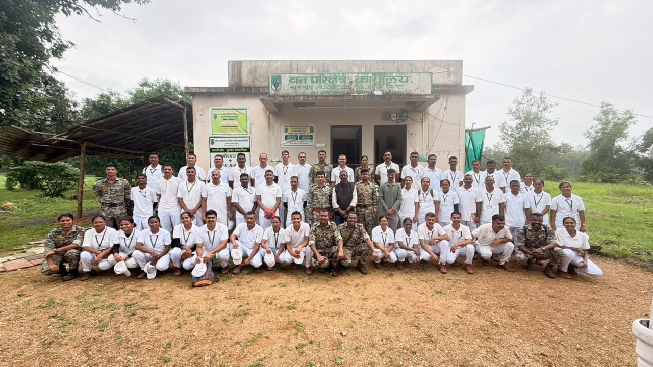 चुलबंद नर्सरी नवेगावबांध
