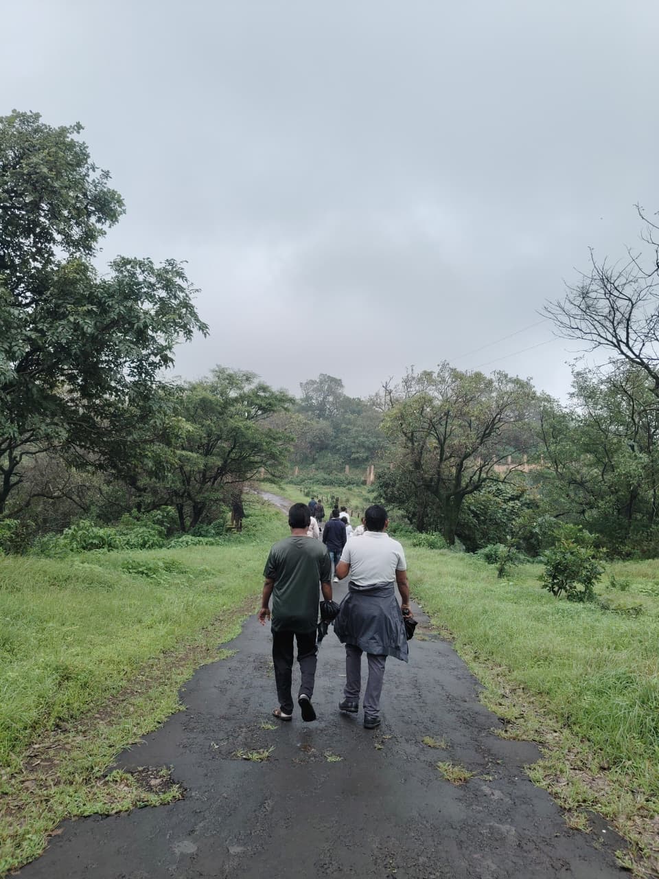 ट्रेकिंग