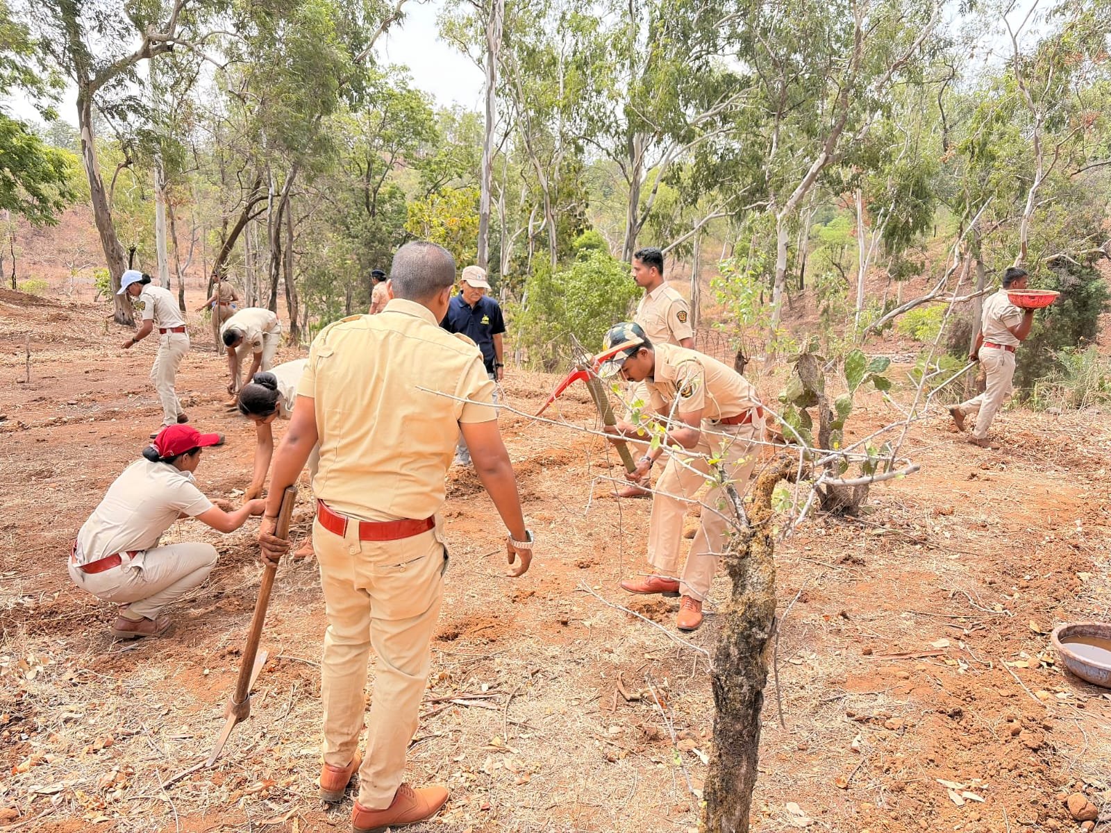 क्षेत्रीय अभ्यास दौरा