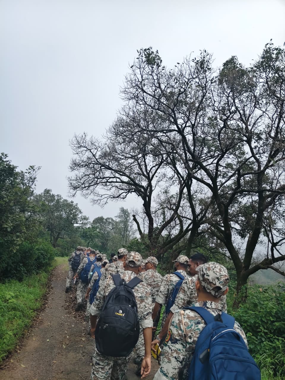 स्थानिक ट्रेकिंग