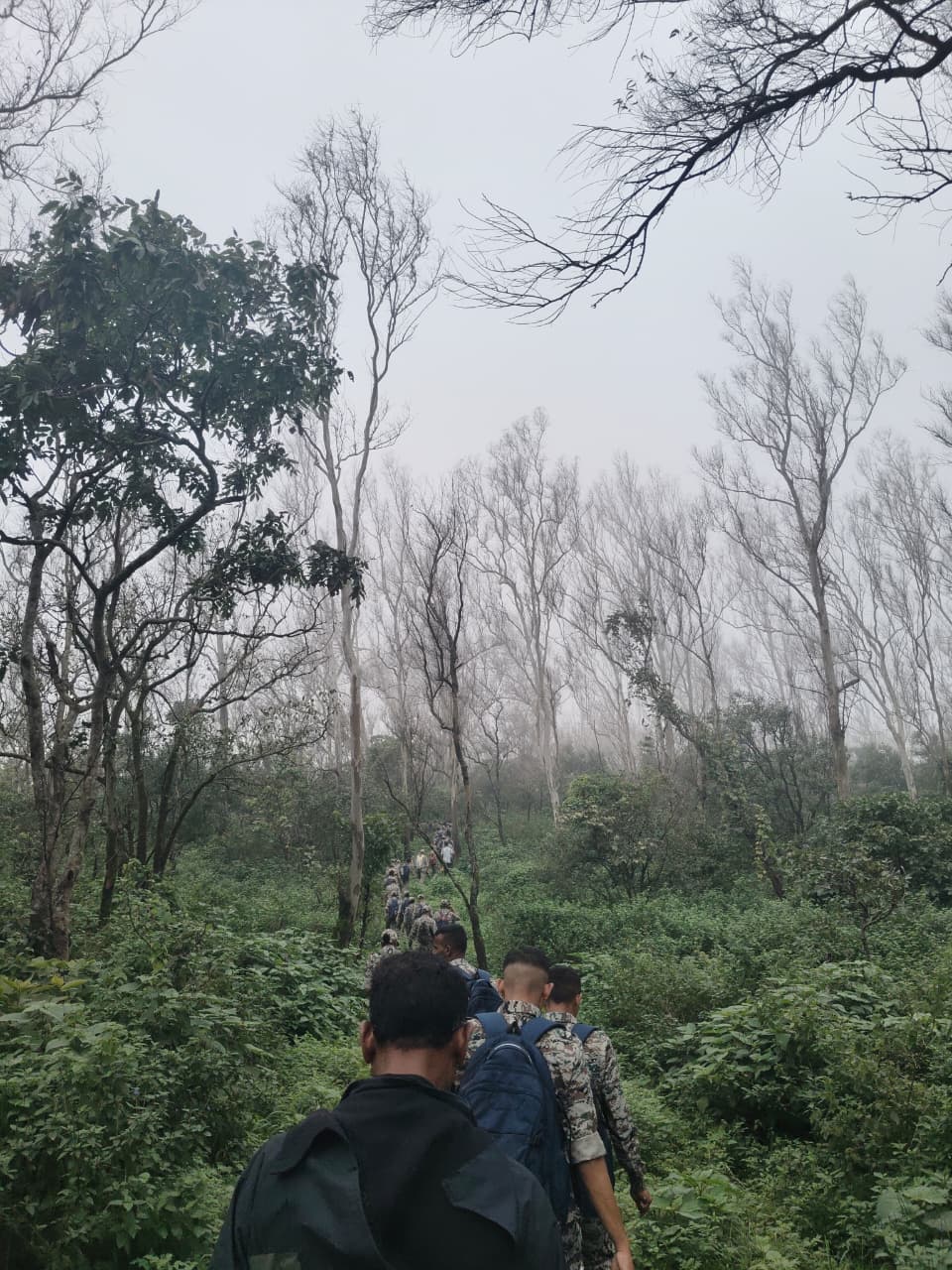 स्थानिक ट्रेकिंग