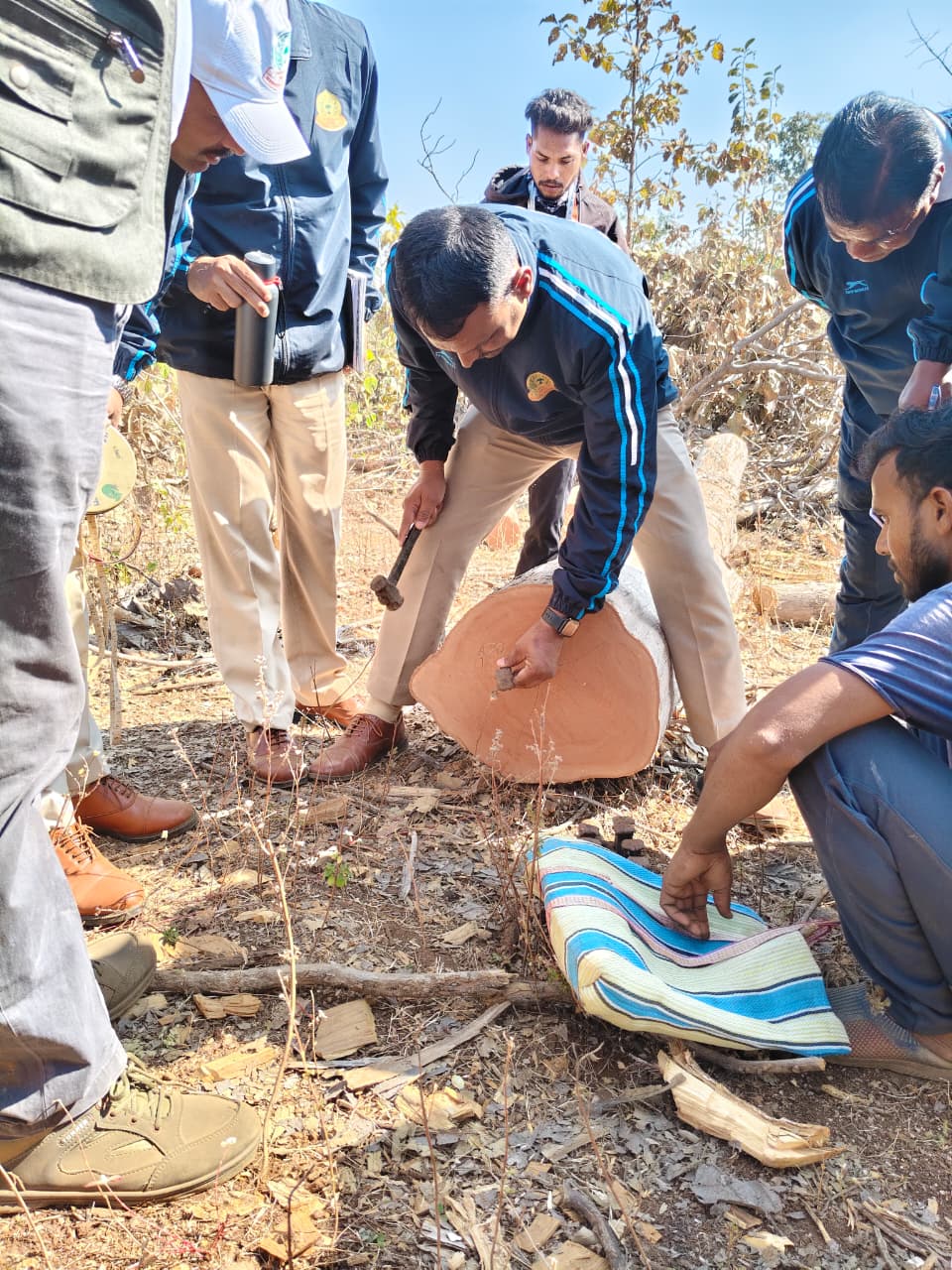 लेखापाल/लिपिक/वनपाल यांचे पायाभूत प्रशिक्षण क्षेत्रीय दौरा जारीदा परीक्षेत्रातील खारी कुप (TPWC) कुपातील  कामाची प्रत्यक्ष पाहणी व अभ्यास