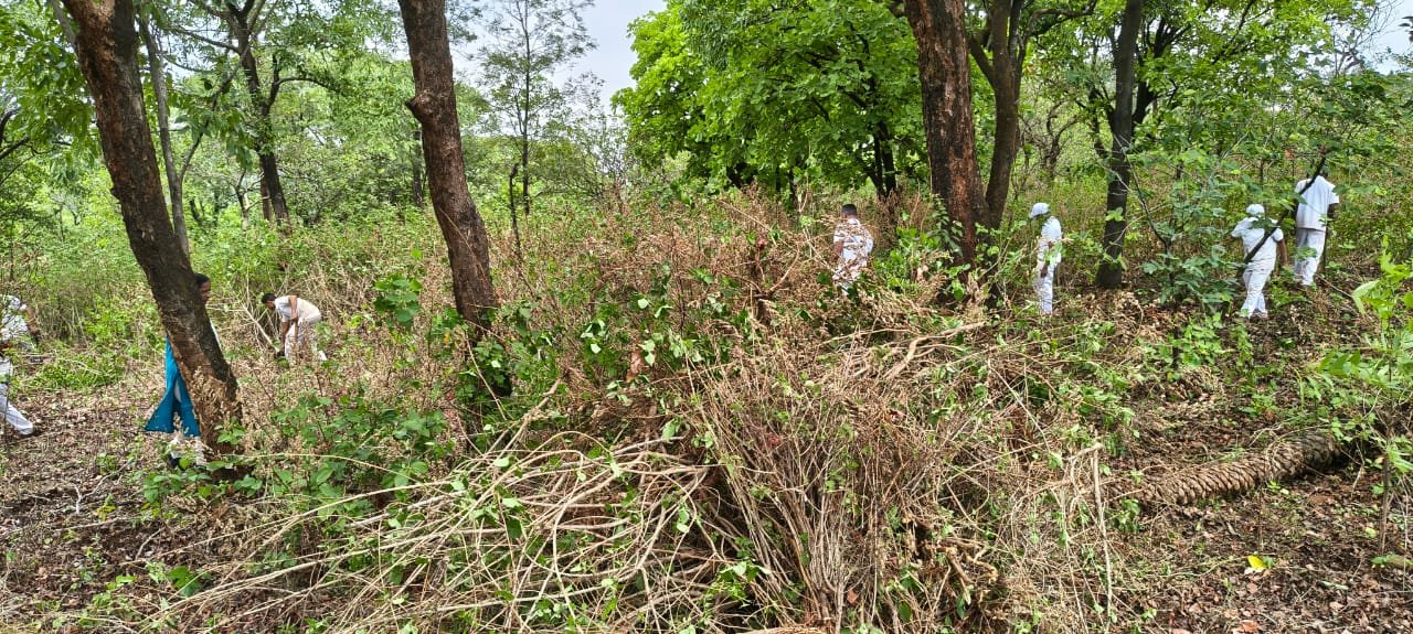 क्षेत्रीय कामे - अमृतवन येथील परिसराची साफसफाई