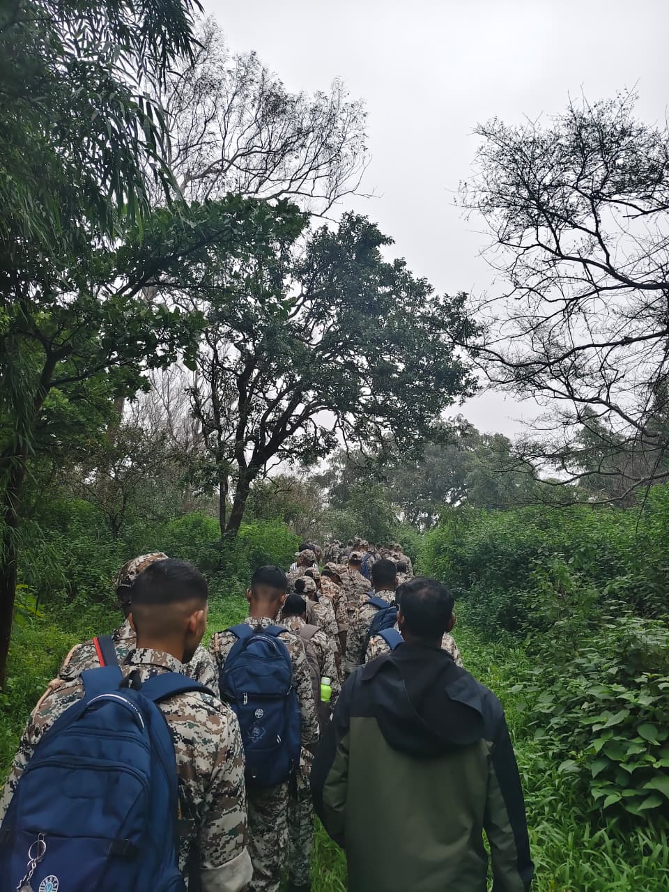 स्थानिक ट्रेकिंग