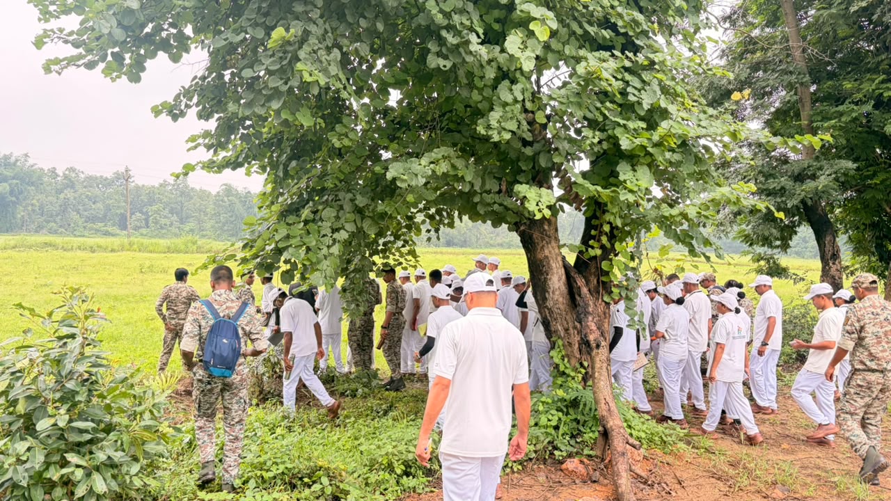चुलबंद नर्सरी नवेगावबांध