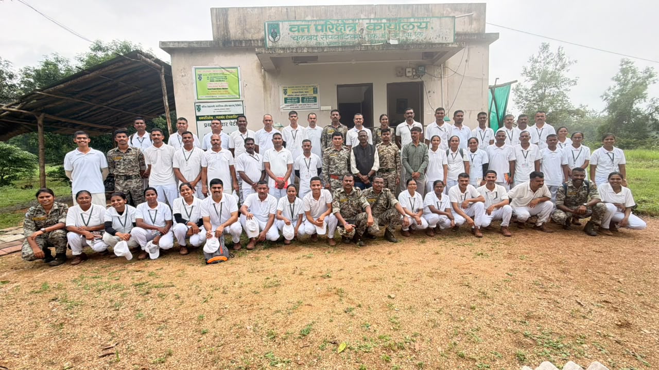 चुलबंद नर्सरी नवेगावबांध
