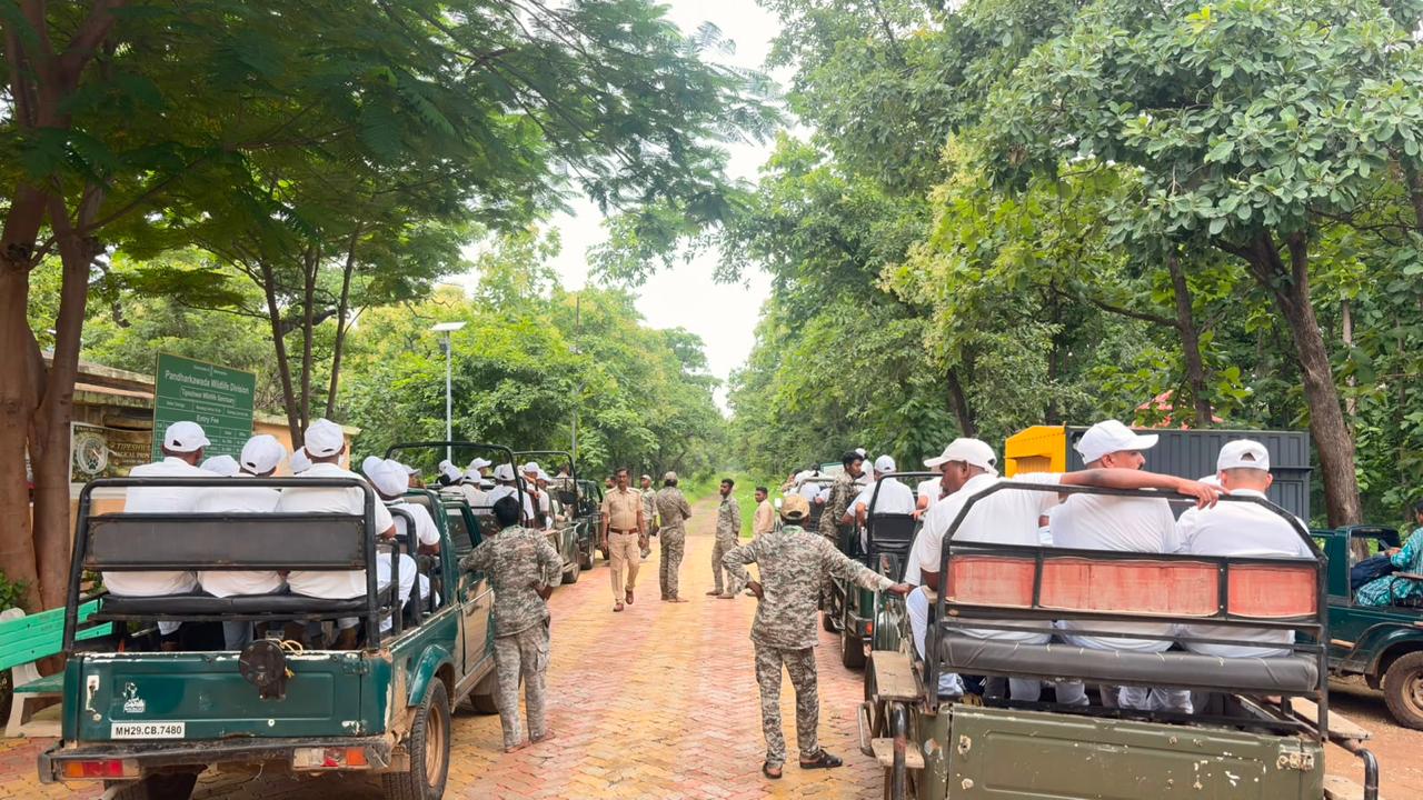 विदर्भ दौरा - दिवस  तिसरा - टिपेश्वर अभयारण्य यवतमाळ