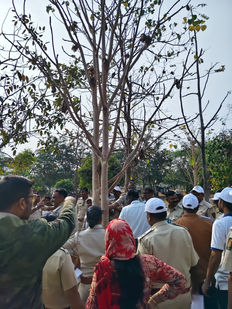 लेखापाल/लिपिक/वनपाल यांचे पायाभूत प्रशिक्षण क्षेत्रीय दौरा सेमाडोह-बोरी-हरिसाल