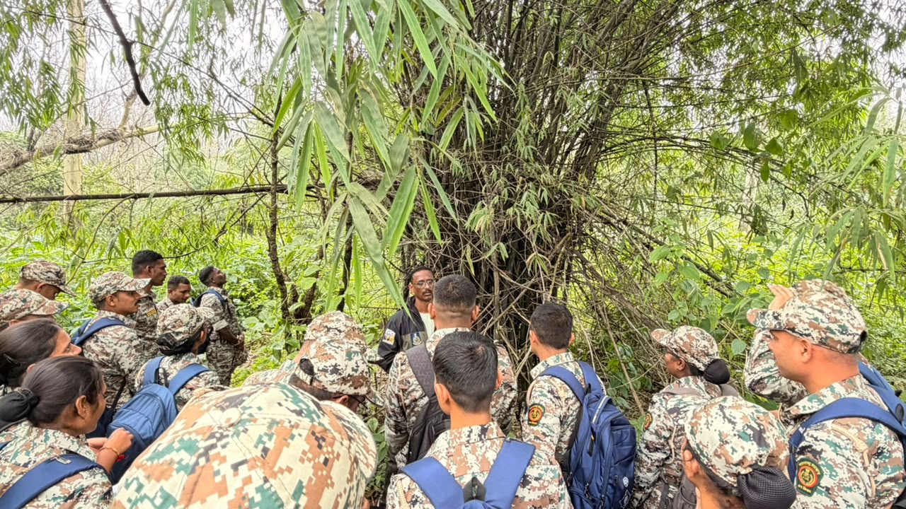 स्थानिक ट्रेकिंग