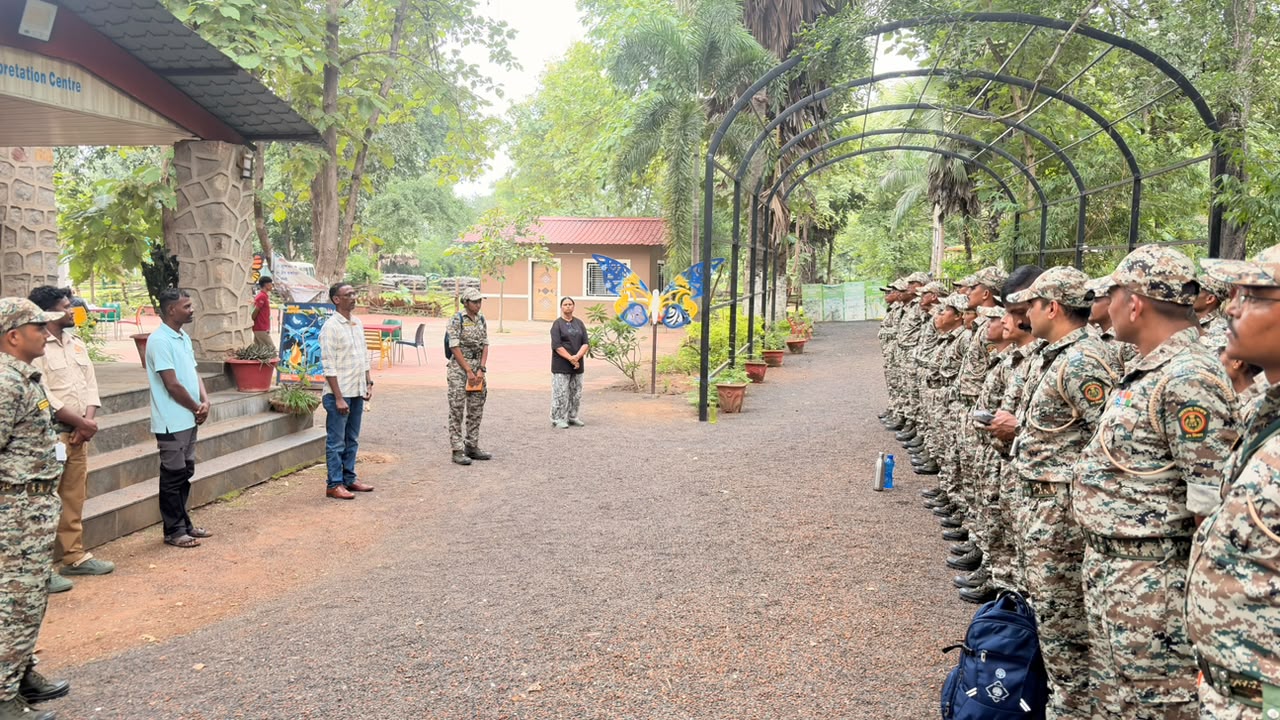 विदर्भ दौरा - दिवस  पाचवा  - ताडोबा अंधारी व्याघ्र प्रकल्प, चंद्रपूर